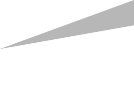 ernst &amp; Young