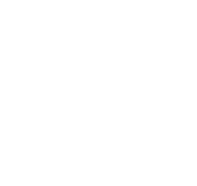 icon of a virtual coach